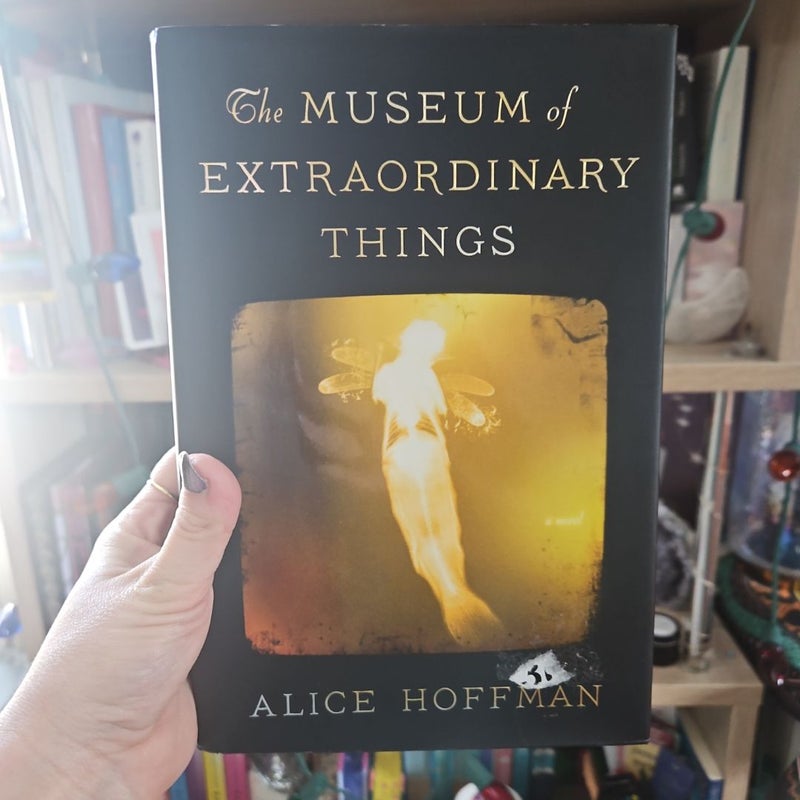 The Museum of Extraordinary Things