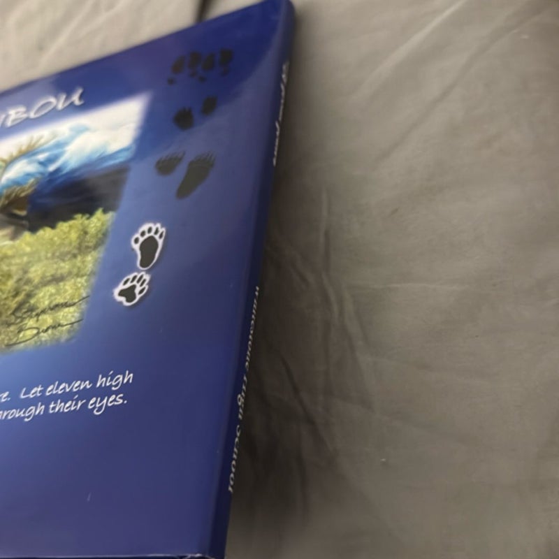 The Polar Paws signed by all 4 artist