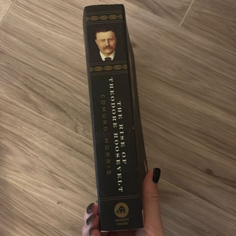The Rise of Theodore Roosevelt