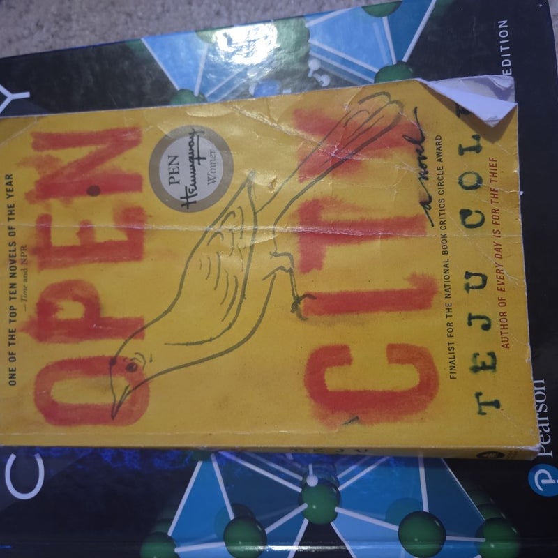 Open City