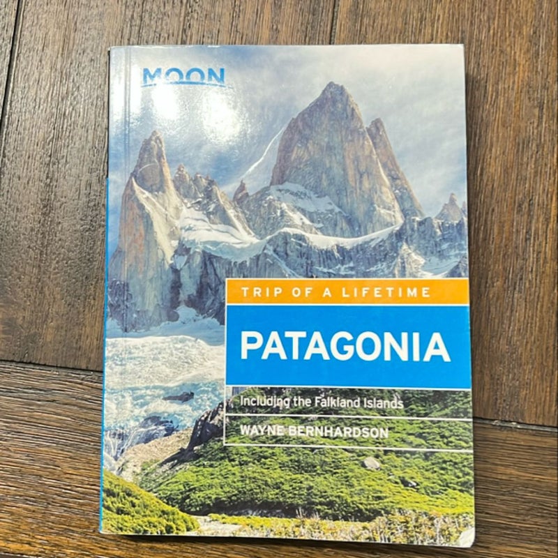 Trip of a Lifetime: Patagonia