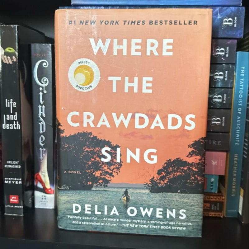 Where the Crawdads Sing
