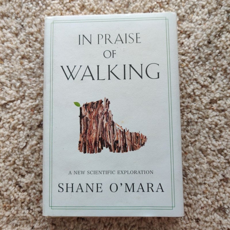 In Praise of Walking