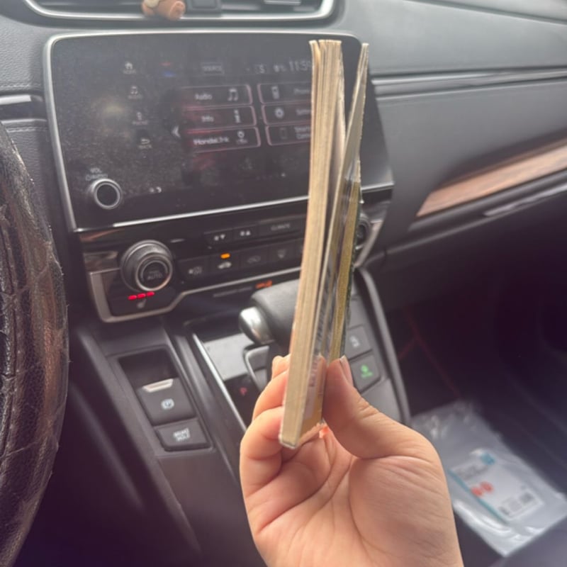 Afternoon on the Amazon