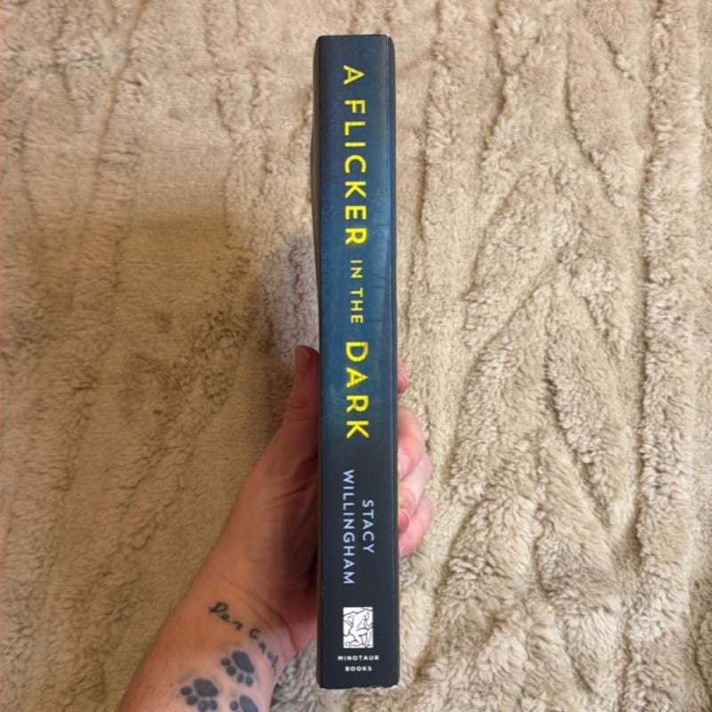 A Flicker in the Dark by stacy Willingham, Paperback | Pangobooks