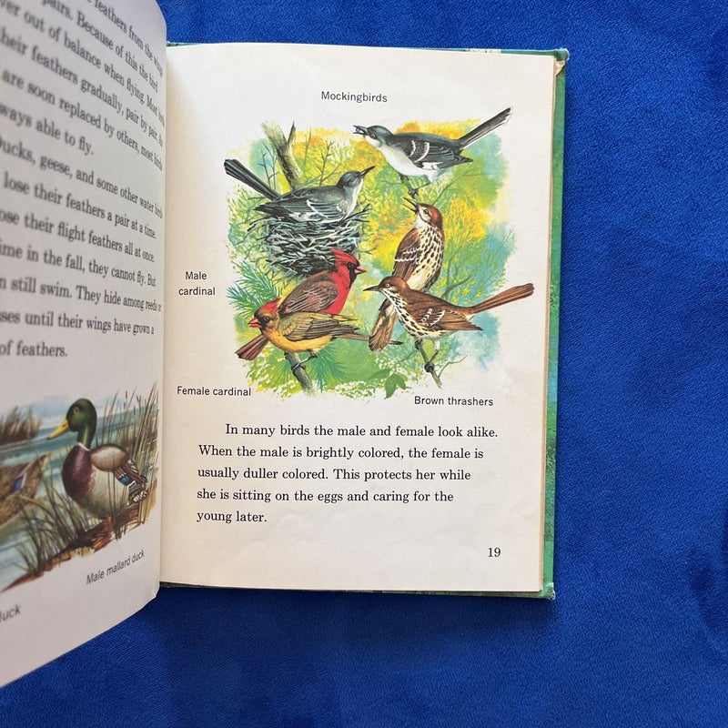 A Follett Beginning Science Book