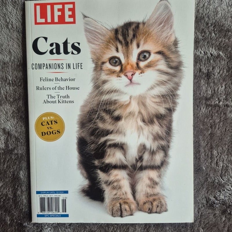 4 Magazines All About Cats