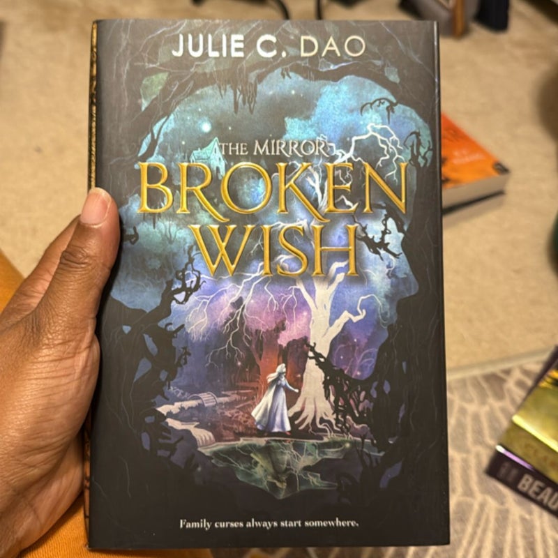 The Mirror Broken Wish