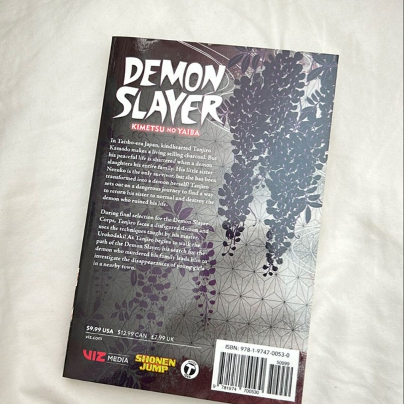 Demon Slayer: Kimetsu No Yaiba, Vol. 2