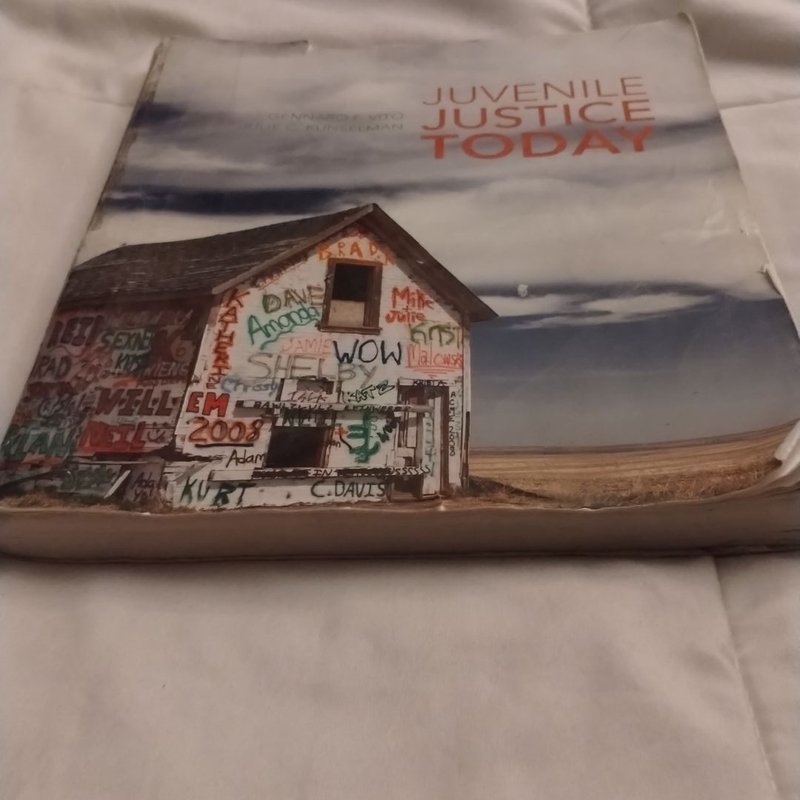 Juvenile Justice Today by Gennaro F. Vito, Paperback | Pango Books