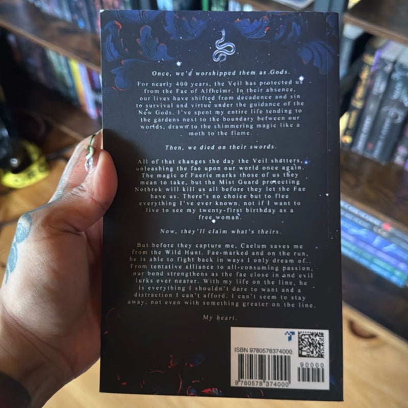 What Lies Beyond the Veil