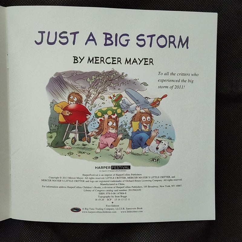 Little Critter: Just a Big Storm