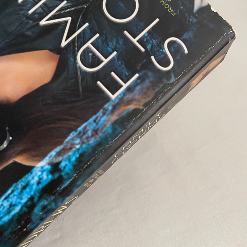 V. C. Andrews Bundle