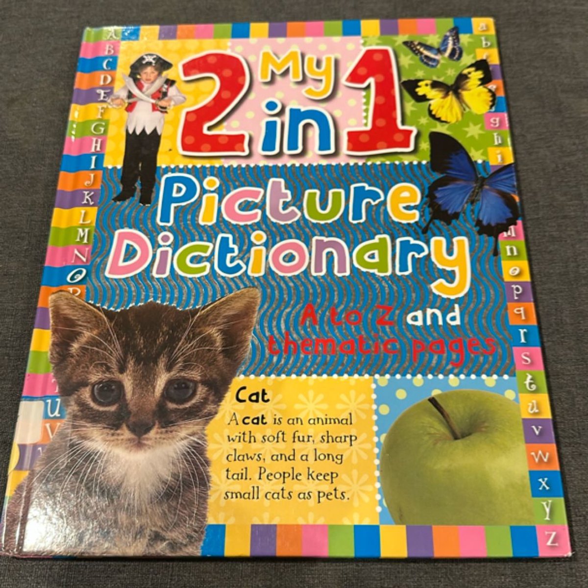 my-2-in-1-picture-dictionary-by-sarah-phillips