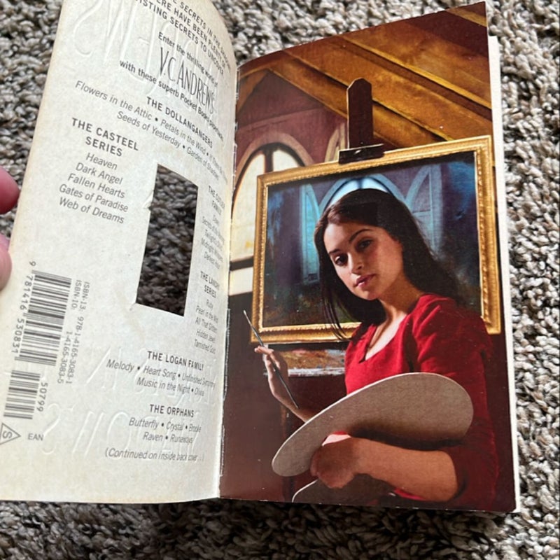 Secrets in the Shadows (vintage Stepback )