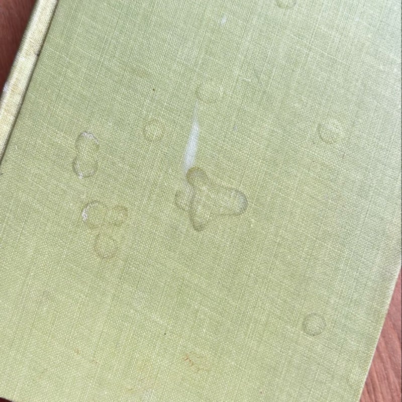 Madame Bovary 