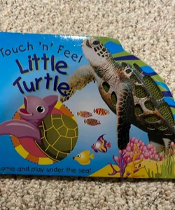 Touch 'n' Feel Little Turtle