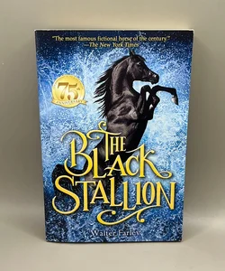 The Black Stallion