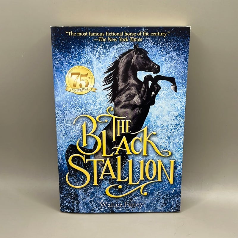 The Black Stallion