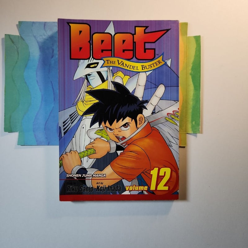 Beet the Vandel Buster, Vol. 12