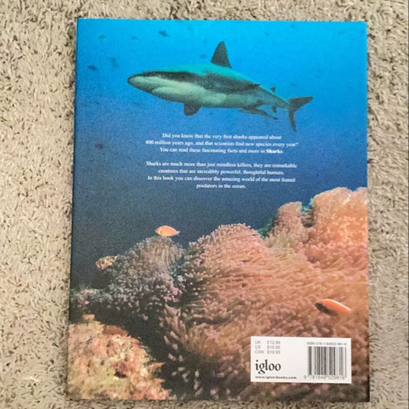 Encyclopedia of Sharks