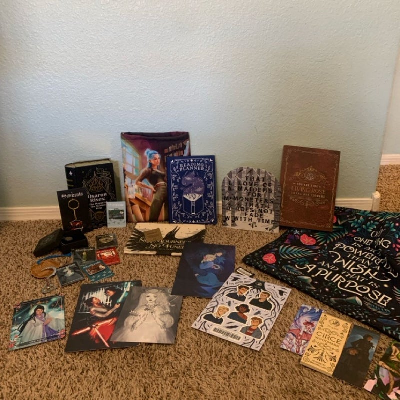 Owlcrate and fairyloot bookish items