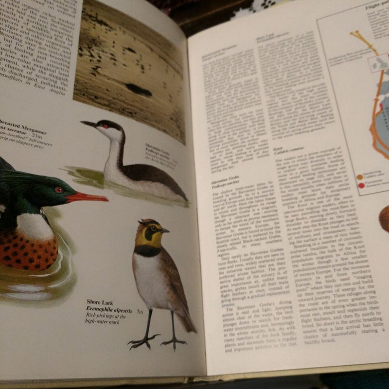 World Atlas of Birds