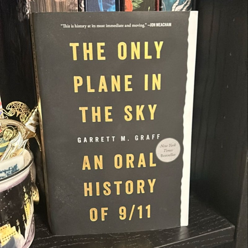 Only Plane in the Sky