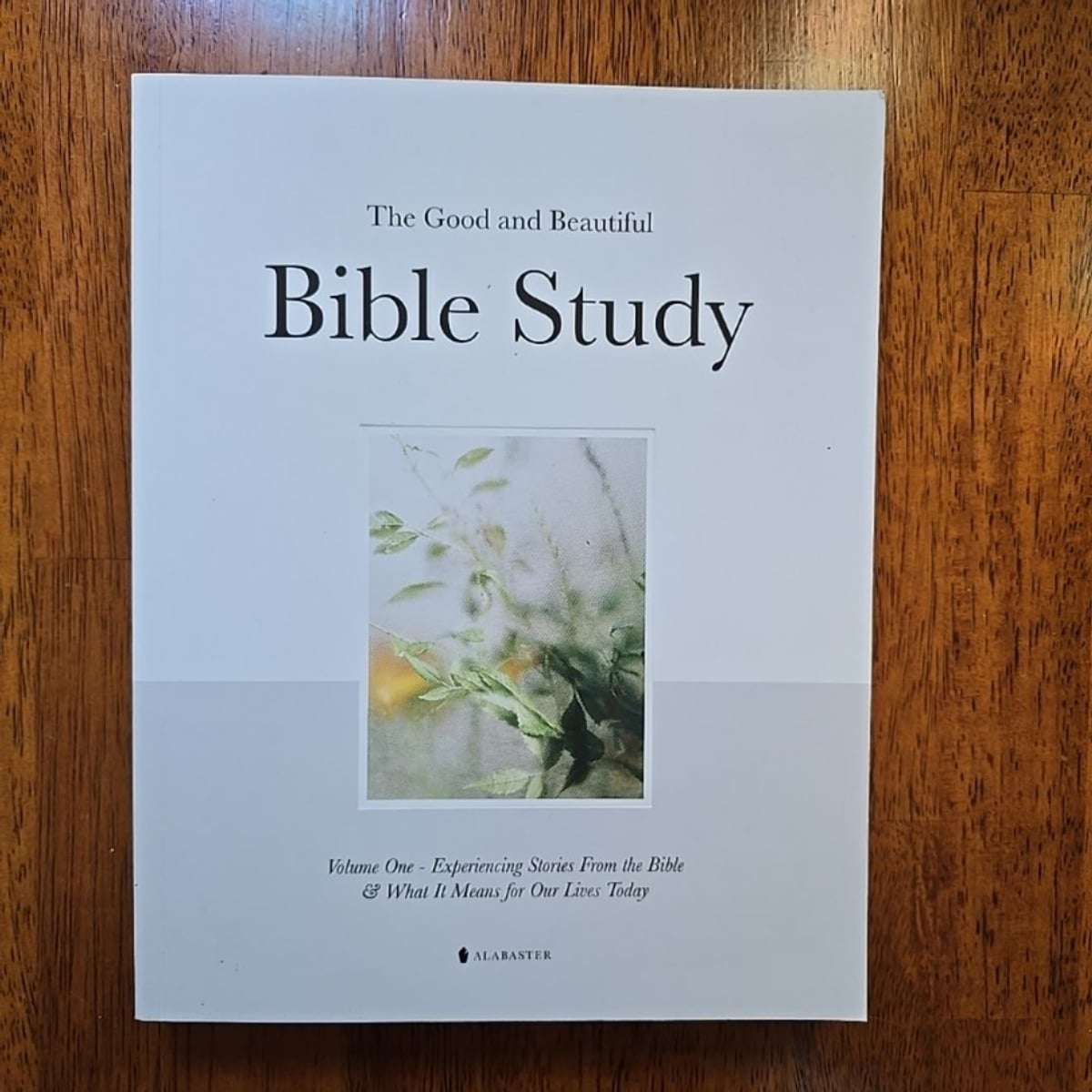 The Good and Beautiful Bible Study by Alabaster Co.