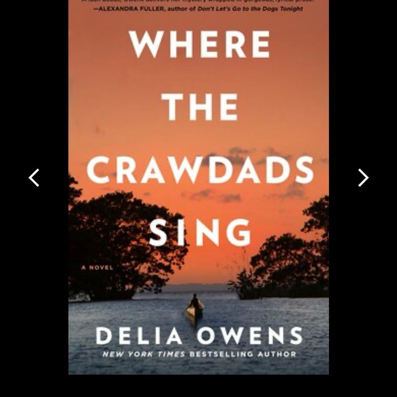 Where the Crawdads Sing 