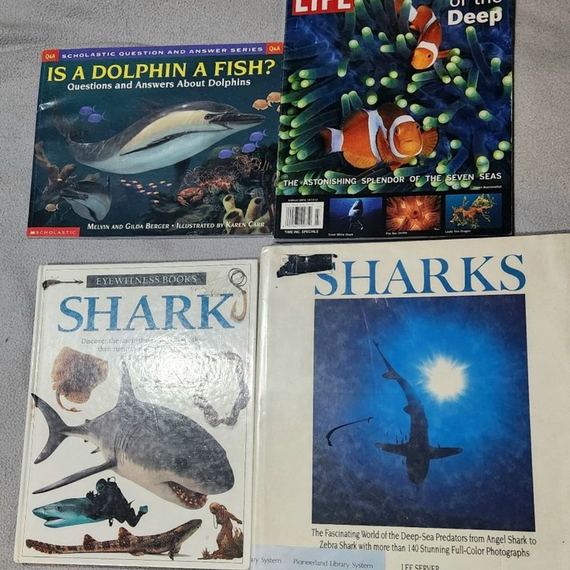 Is a Dolphin a Fish?, Wonders of the Deep, Shark, Sharks 