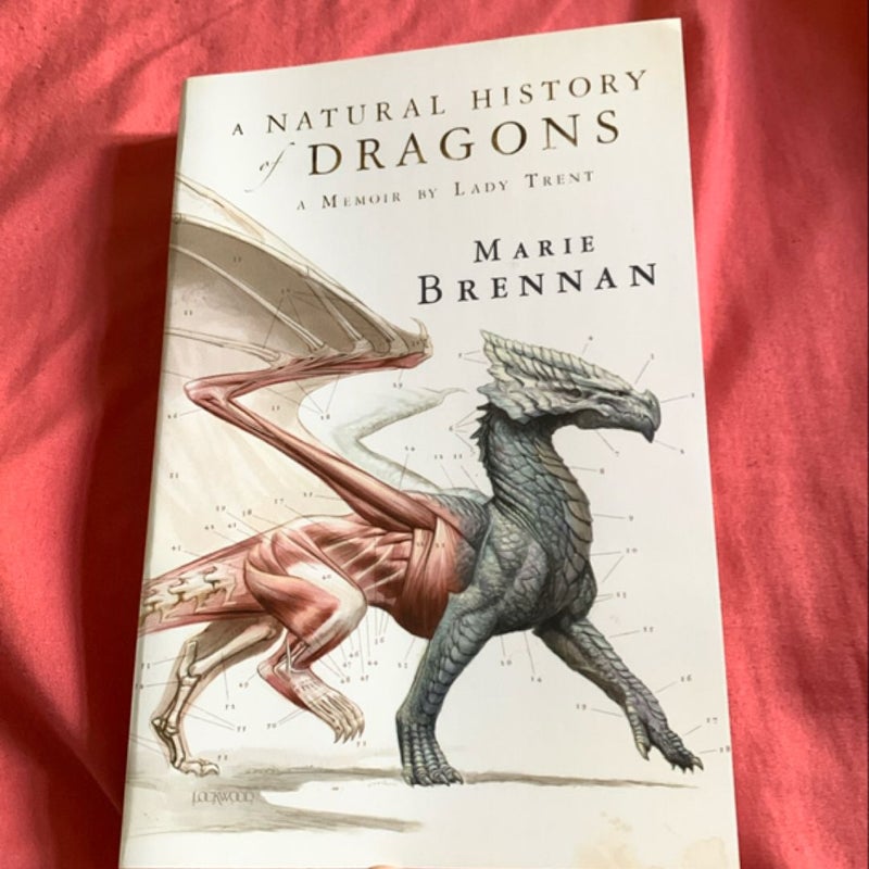 A Natural History of Dragons