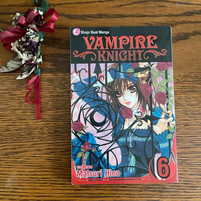 Vampire Knight, Vol. 6