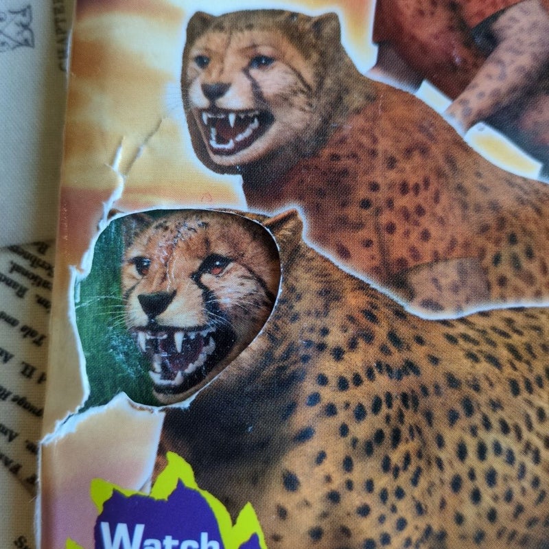 The Weakness