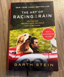 The Art of Racing in the Rain 