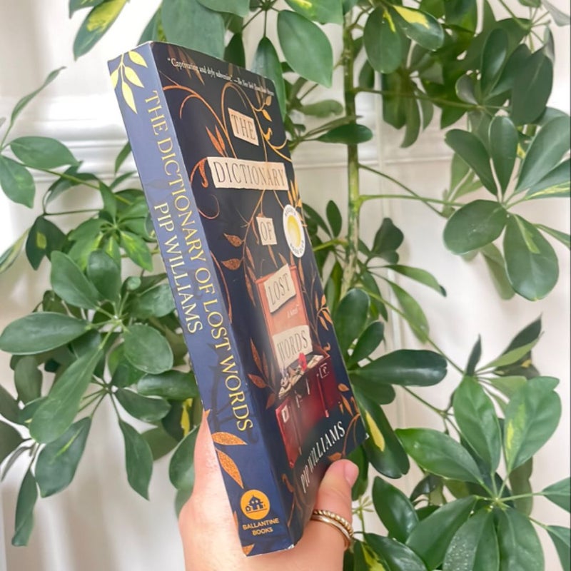The Dictionary of Lost Words