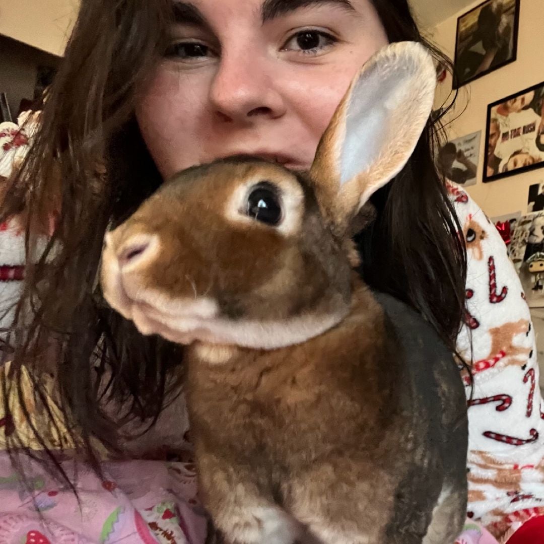Flopsy’s Fables (and other literature)