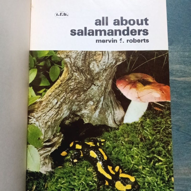 All About Salamanders