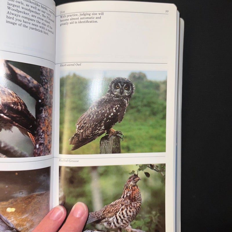 An Audubon Handbook: How to Identify Birds (Vintage 1988)