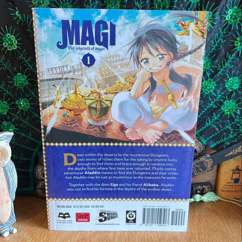 Magi: the Labyrinth of Magic, Vol. 1