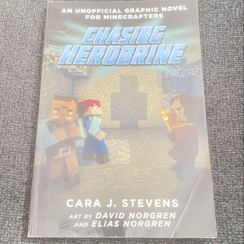 Chasing Herobrine