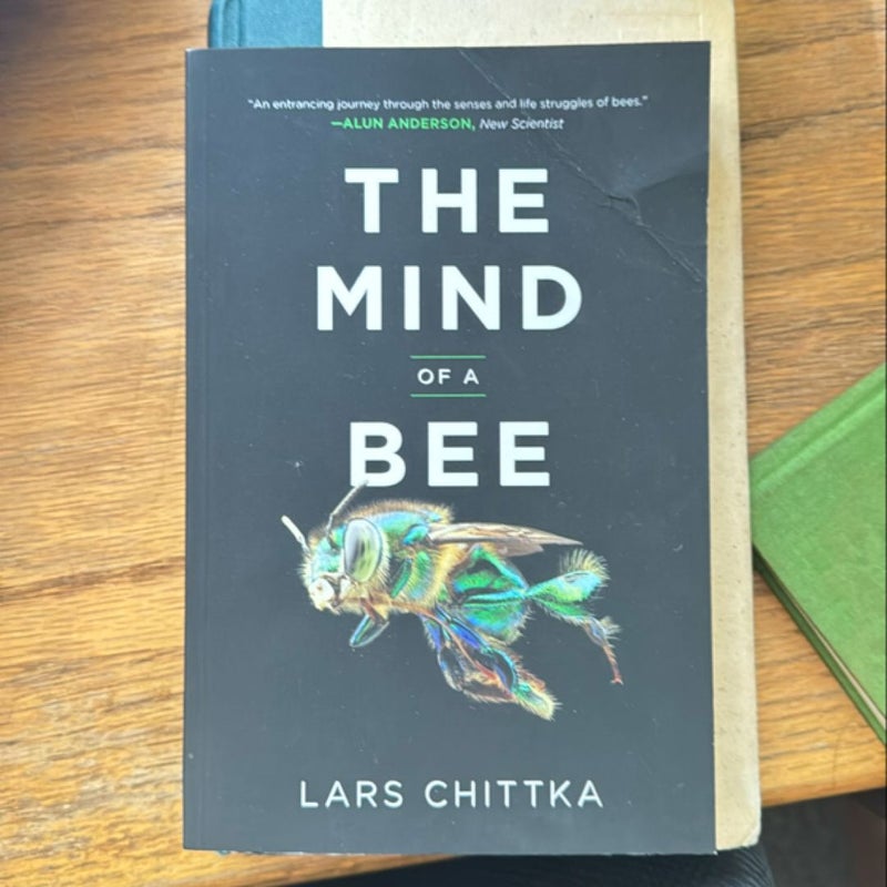 The Mind of a Bee