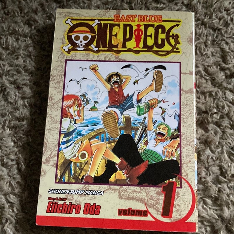One Piece Volume 1