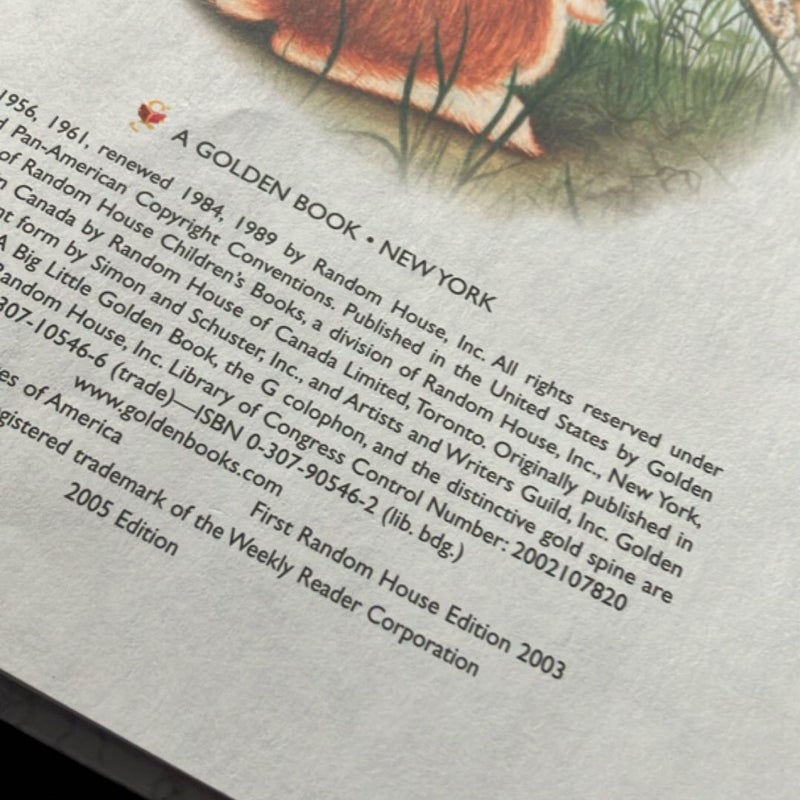 Home for a Bunny (Large Hardcover)
