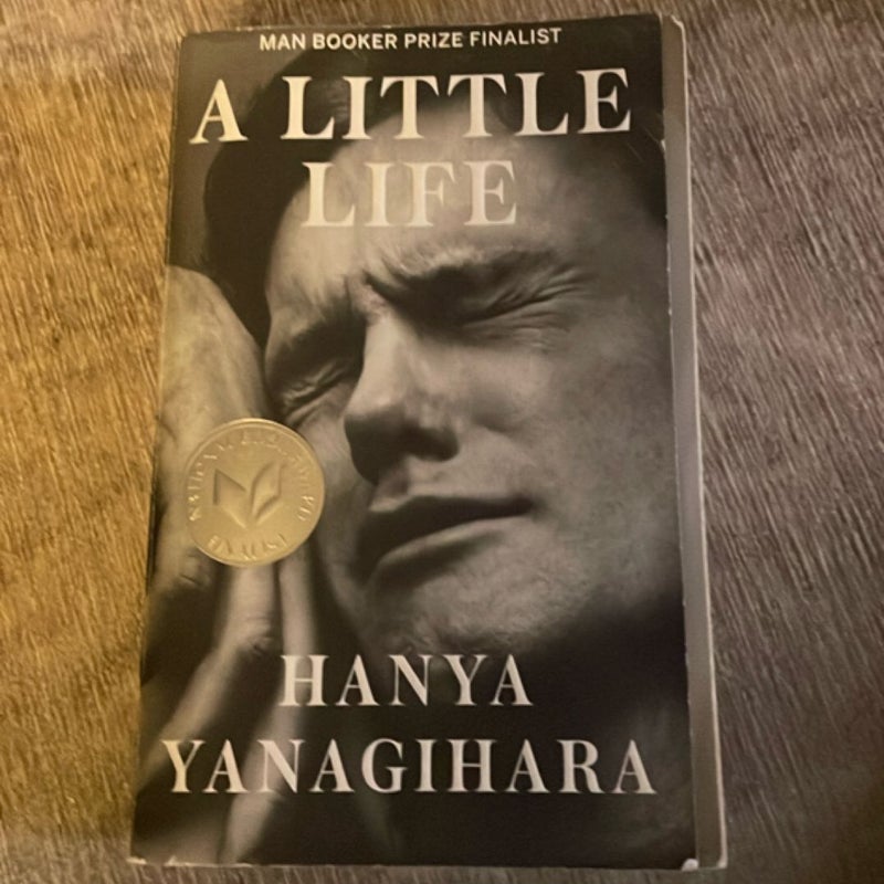 A Little Life