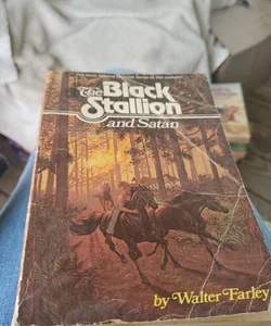 The black stallion n satan 