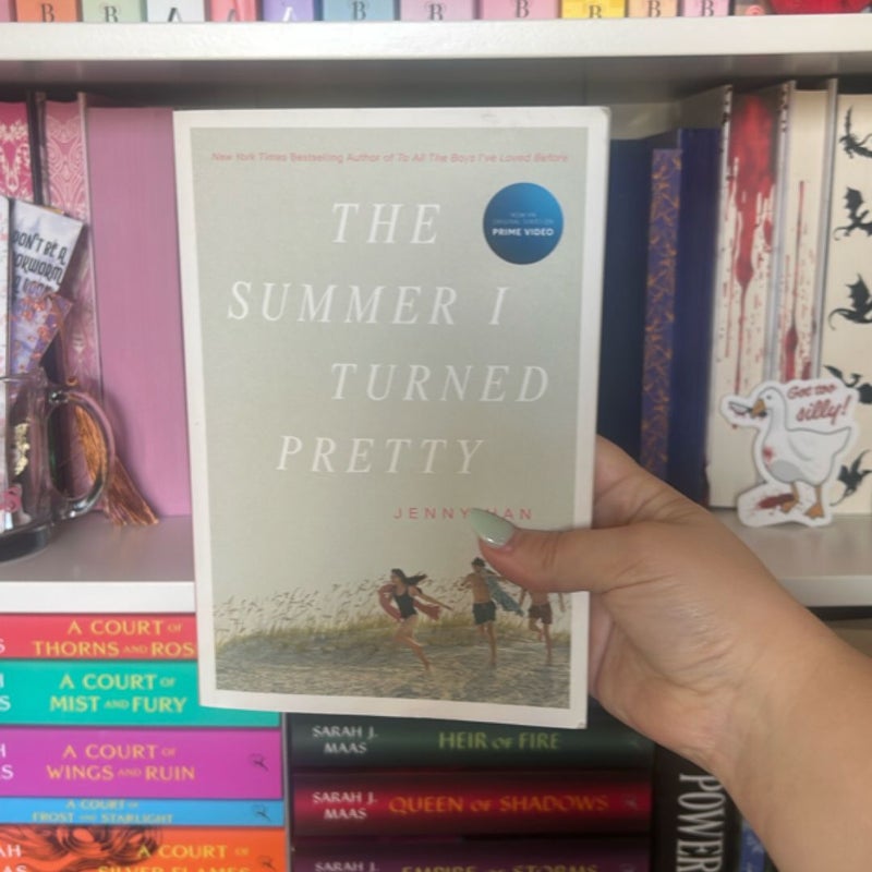 The Summer I Turned Pretty Series