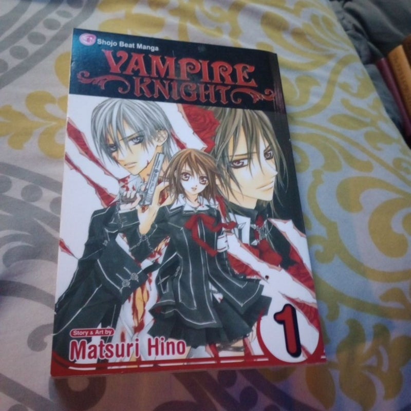 Vampire Knight, Vol. 1