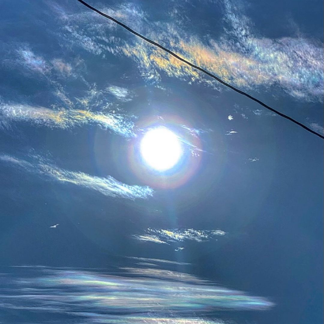 Lady Grateful Loves Literature