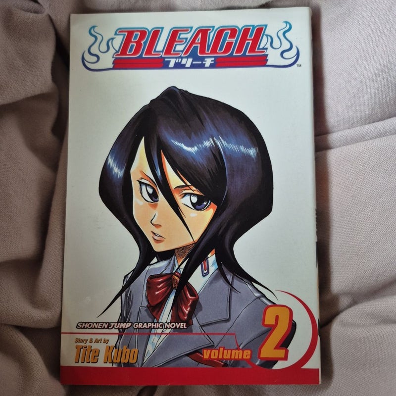 Bleach, Vol. 2